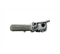 Refroidisseur de gaz d'échappement 11317715801 vika pour VW JETTA IV BEETLE