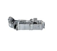 NRF 48456 Module-EGR