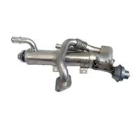 Refroidisseur de gaz d'échappement 88343 MEAT & DORIA pour AUDI A6 C6 A4 B7