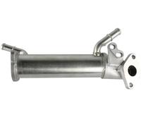Refroidisseur de gaz d'échappement FT60415 FAST FAST