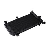 Refroidisseur de radiateur Brillixa, refroidisseur d'huile de transmission, compatible avec CMX 300 500 CRF 250L MSX 125 SF GROM, système de refroidissement de moto, ensemble de