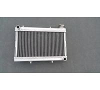 Refroidisseur de radiateur en Aluminium Refroidissement du Liquide de Refroidissement pour Honda FourTrax 250 TRX250R TRX250X 1988-1989