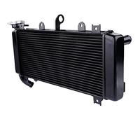 Refroidisseur d'eau Compatible avec Kawasaki Ninja 650 17-22 Radiateur d'eau