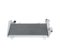 Refroidisseur d'eau de radiateur supérieur et inférieur for Panigale V2 2020-2024 899 959 1199 1299