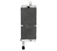 Refroidisseur d'eau De Refroidissement Radiateur Moteur pour Shadow 700 1998 1999 2000 2001 2002 2003 2004 2005 2006 2007 19010-MBA-013 19010-MCL-003