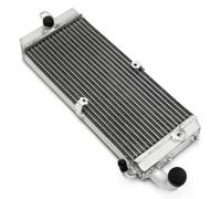 Refroidisseur d'eau De Refroidissement Radiateur Moteur pour Shadow VT400 1997 - 2014 19010-MBA-013 19010-MCL-003 19010-MFE-641