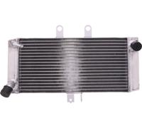 Refroidisseur d'eau JMP pour Suzuki GSF Bandit / S ABS 650 ccm année 2007 - 2016