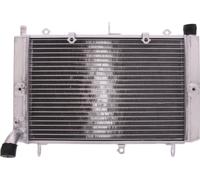 Refroidisseur d'eau JMP pour Yamaha FZS Fazer 1000 ccm année 2001 - 2005
