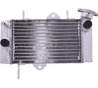 Refroidisseur d'eau JMP pour Yamaha MT- ABS 125 ccm année 2014 - 2019