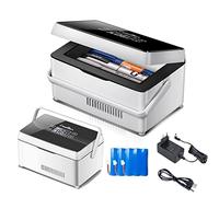 Refroidisseur D'insuline Portable Mini Refroidisseur de Médicament à Température Constante 2-8 ℃ avec Sac de Transport et Poignée pour Le Stockage de L'insuline, de L'hormone de Croissance 3 Batterie