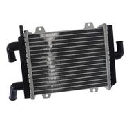 Refroidisseur en aluminium compatible pour Peugeot X-Fight Speedfight 1 2 50 cc LC 2 temps Type : S1 E1 E2 307 WRC
