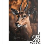 Regal Antelope Puzzles 1000 Pièces Cadeau Unique Jeu Éducatif Défi Jouet À De Qualité Supérieure Peinture Art pour Adultes Et Enfants À Partir De 14 Ans 1000pcs (38x26cm)
