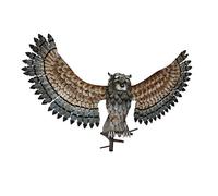 Regal Art & ‿Gift 12448 Statuette de Chouette en Forme de Wing Up Gris Multicolore