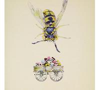 Regal Worm - Neither Use Nor Ornament [Import]