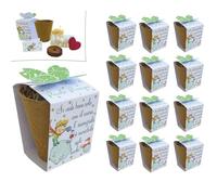 Regalami. shop12 Lot de 12 bonbonnières complètes écologiques avec kit floraison Le petit prince pour bonbonnières, naissance, baptême, communion
