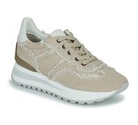 Regard Baskets basses GIEN V2 CANVAS PANNA in Beige 38