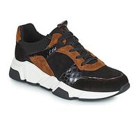 Regard Baskets basses KENO in Marron 37