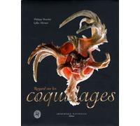 Regard sur les coquillages