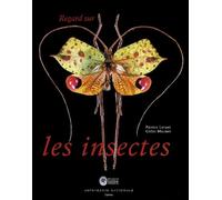 Regard sur les insectes