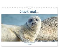 Regarde ça ... Les phoques dans la mer des Wadden, Version française (Calendrier mural 2026 DIN A4 portrait), Calendrier CALVENDO mensuel