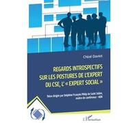 Regards introspectifs sur les postures de l'expert du CSE, l'"expert social" , Chloé Daviot (Auteur), Delphine Philip de Saint Julien (Collection dirigée par)