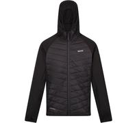 Regatta Andreson Insulated Puffer Jacket Noir L Male