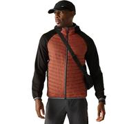 Regatta Andreson Veste de marche hybride matelassée et imperméable pour homme