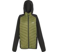 Regatta - "Andreson VIII" veste hybride pour hommes RG9449 (XL) (Nephrit vert/noir)