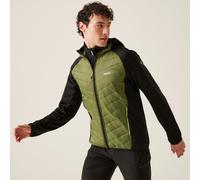 Regatta Andreson Insulated Puffer Jacket Olive/Noir L Male