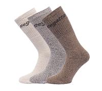 Regatta - Chaussettes (lot de 3 paires) - Homme (Taille unique) (Marron marne)