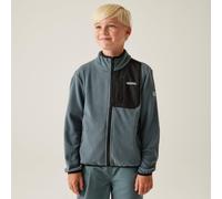 Regatta Frankie Full Zip Fleece Juniors Gris 9-10 (M) Male