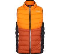Regatta Harrock Lightweight Gilet OraPep/BrnCo S Male