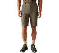 Regatta Highton II Shorts 32