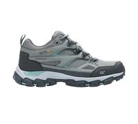 Chaussures de marche femme Regatta Holcombe III Gris 37