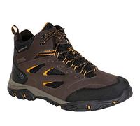 Regatta Homme Chaussures Techniques de Marche Holcombe Walking Shoe, Marron, 45 EU