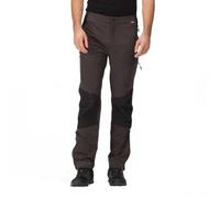 Regatta Homme Questra V Walking Trousers Pantalons, Ash/Black, 34W EU