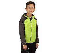 Regatta Kielder Hybrid IV Veste Softshell Hybride Junior Légère, Isolante et Facilement Compressible Baffled/Quilted Jackets Enfant Electric Lime/Magnet FR: S (Taille Fabricant: 3-4)