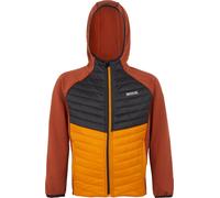 Regatta - "Kielder VIII" veste hybride pour enfants RG9921 (104) (Marron ocre/noir)