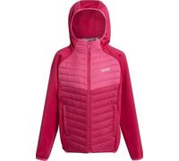 Regatta - "Kielder VIII" veste hybride pour enfants RG9921 (158) (Breuvage rose/flamant rose)