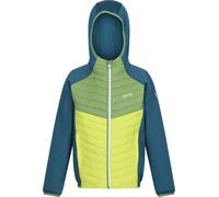 Regatta - "Kielder VIII" veste hybride pour enfants RG9921 (164) (Bleu vif/vert piquant/citron vert)