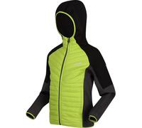 Regatta Kielderhybrd BriKiwi/Dk 4-5 (2XS) Male