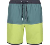 Regatta Men's Benicio Swim Shorts SeaPne/GrnAl S Male