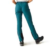 Regatta Mountain Iii Pants Bleu 34 / Regular Femme