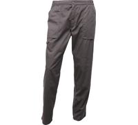 Regatta Pantalon pour homme Sport Action RW1233 (W30 x court) (Gris foncé)