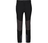 Regatta - Pantalon "Tech Mountain" pour enfants - Randonnée RG5373 (146-152) (Noir/Cendres)