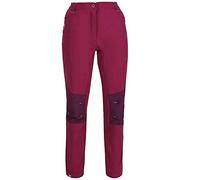 Regatta Pantalon Technique déperlant Questra II avec Membrane Coupe-Vent et Matière Stretch Extensible Pantalon Femme Trousers Femme Purple Potion/Prune FR: S (Taille Fabricant: 12)