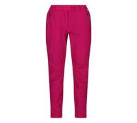 Regatta Pantalon Technique Stretch Highton déperlant avec Protection UV40 et Multiples Poches - Régulier Trousers Femme Dark Cerise FR: XL (Taille Fabricant: 18)