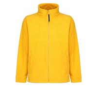 Regatta Polaire Homme zippée avec Propriété de séchage Rapide Thor III Fleece Homme Glowlight FR: XS (Taille Fabricant: XS)