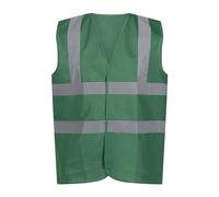 Regatta Professional - Gilet haute visibilité - Adulte (3XL) (Vert)