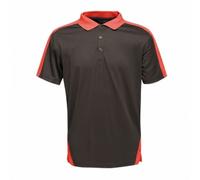 Regatta Professional - Polo motif/style Contrasté - Homme (RG3573)